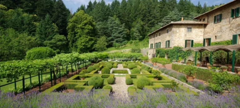 A Millennium of Chianti. One Estate.